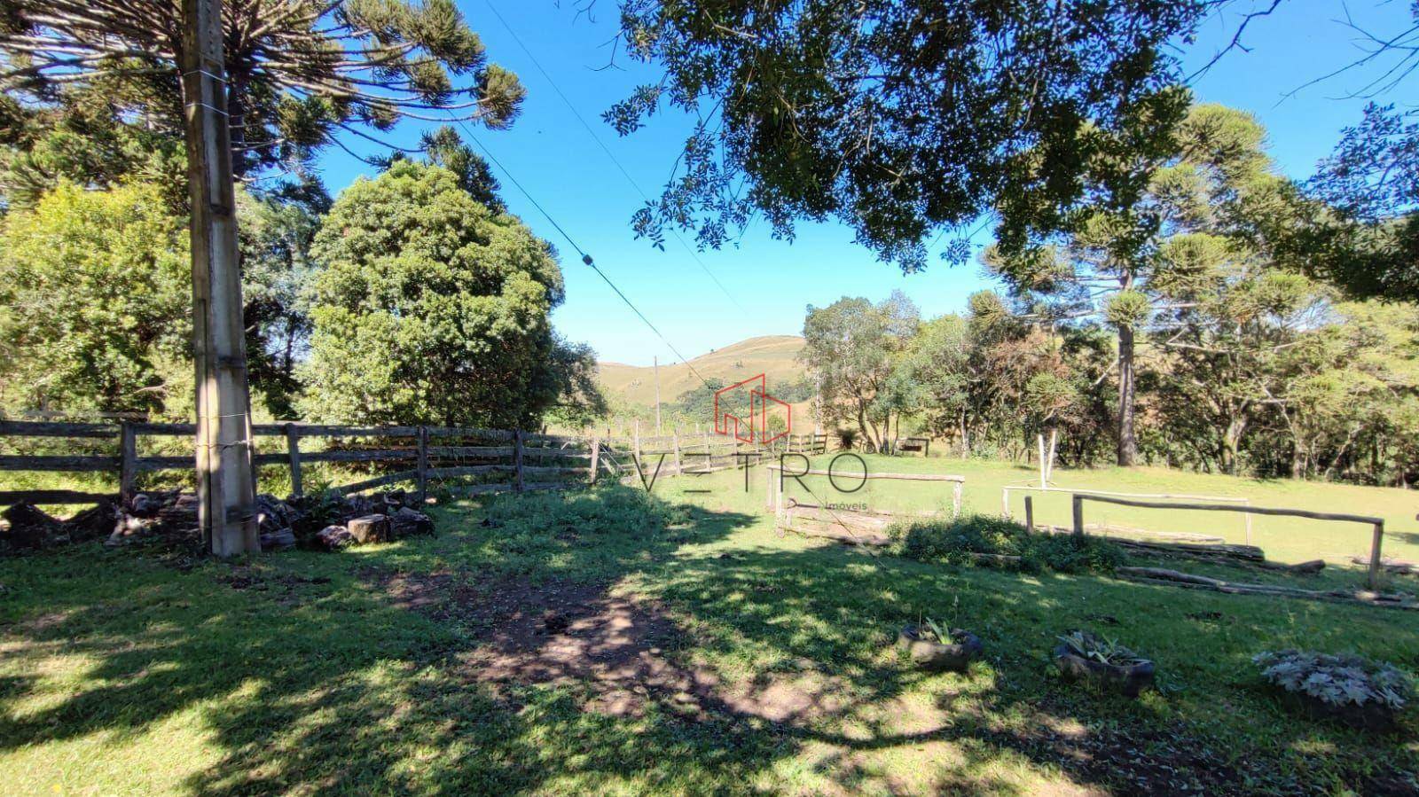 Sítio à venda com 3 quartos, 37000M2 - Foto 15
