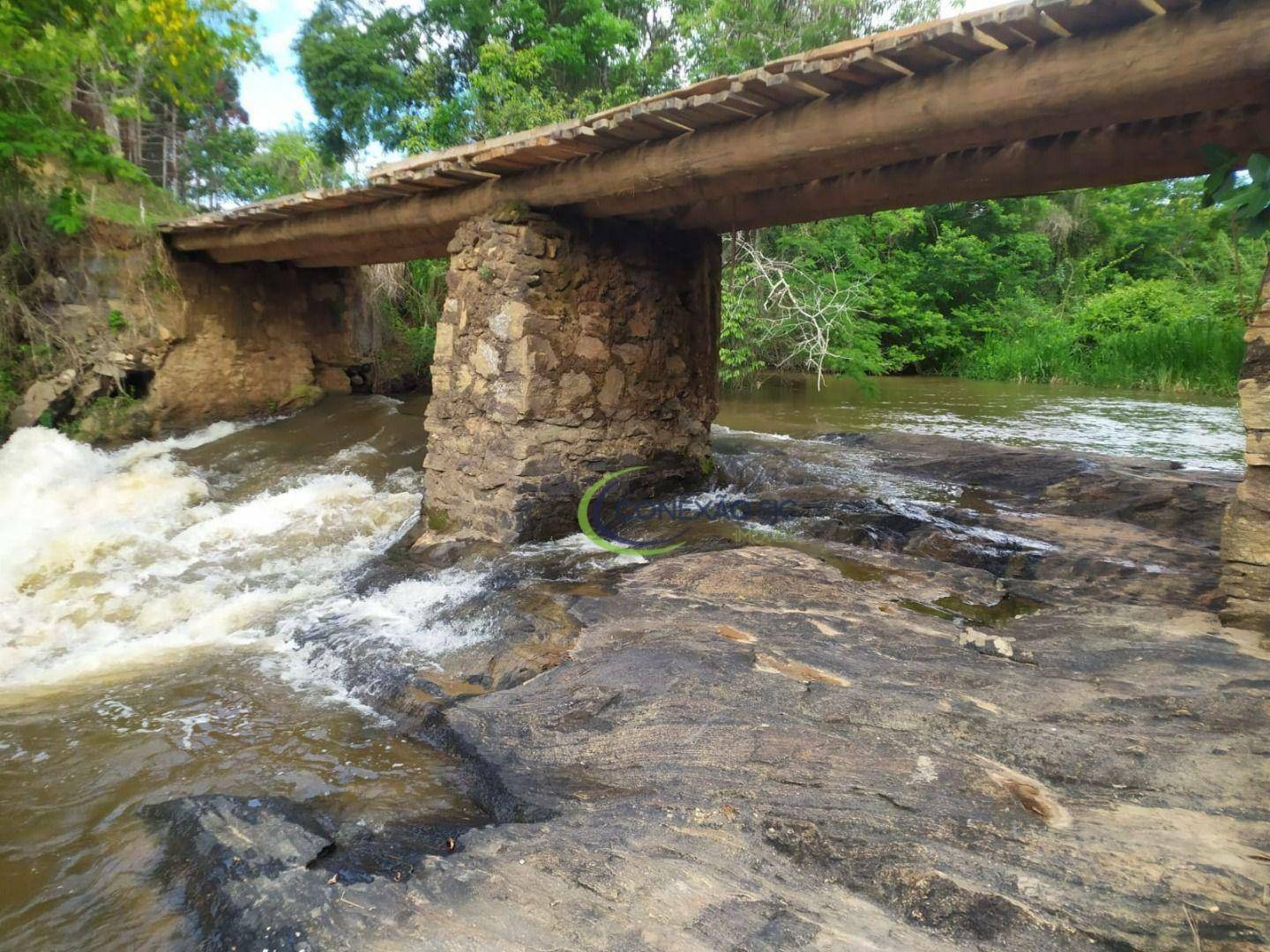 Chácara à venda com 3 quartos, 5000M2 - Foto 4
