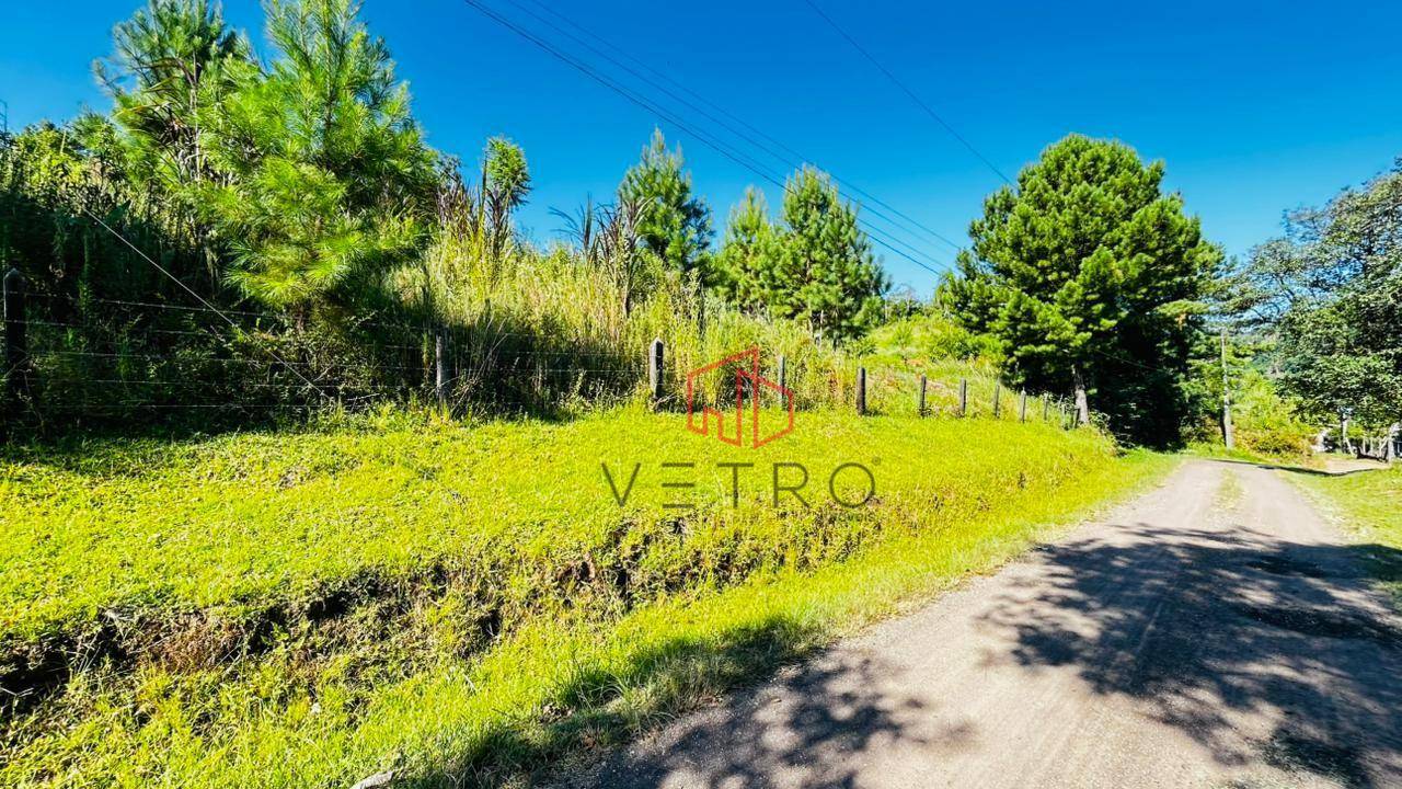 Sítio, 2 hectares - Foto 9