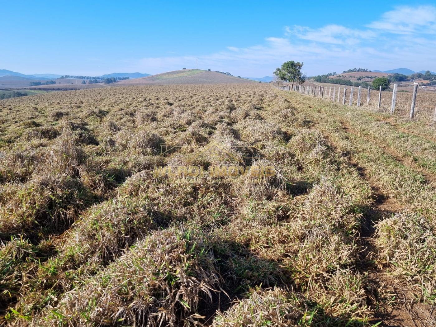 Fazenda à venda, 209m² - Foto 18