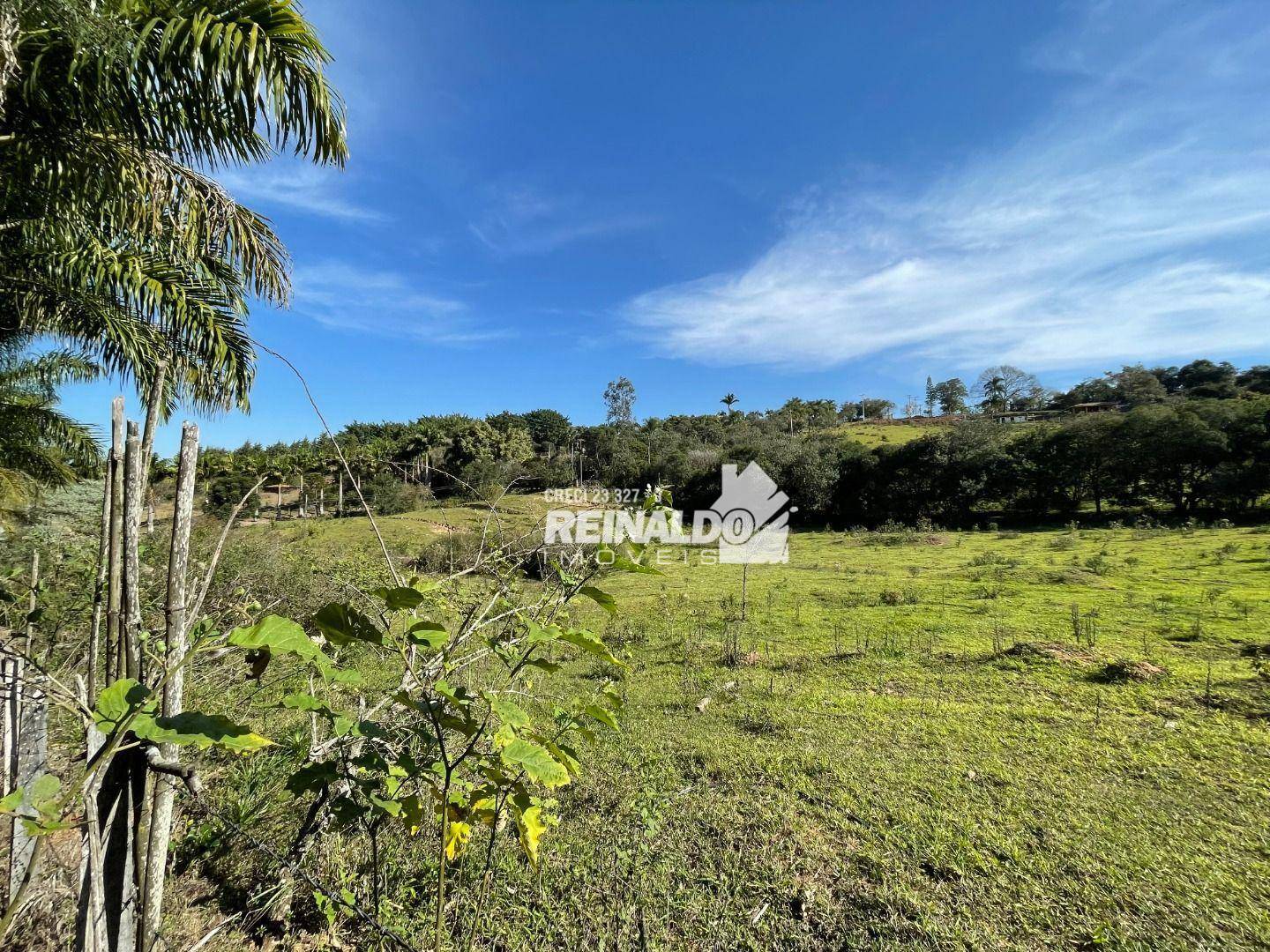 Sítio, 1 quarto, 3 hectares - Foto 4