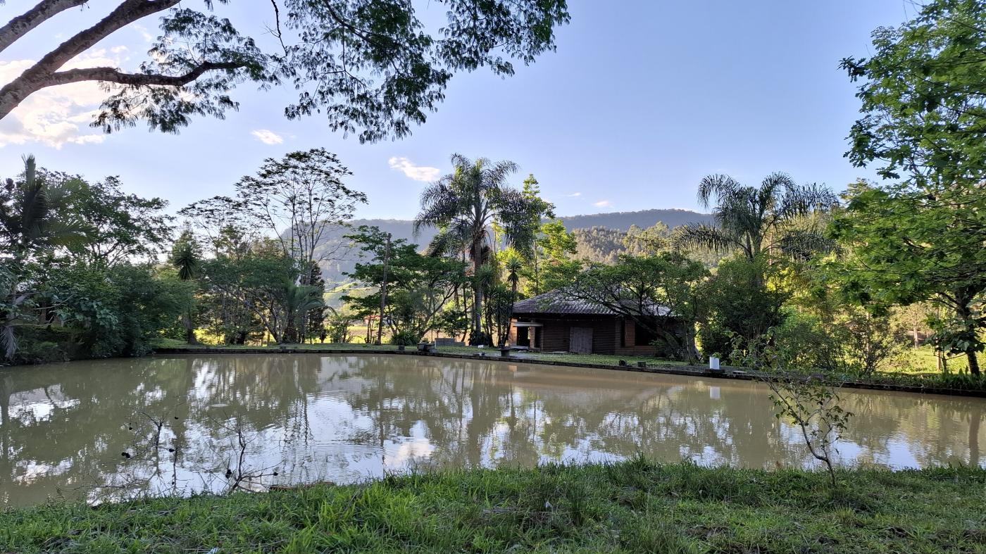 Fazenda à venda com 2 quartos, 8000m² - Foto 18