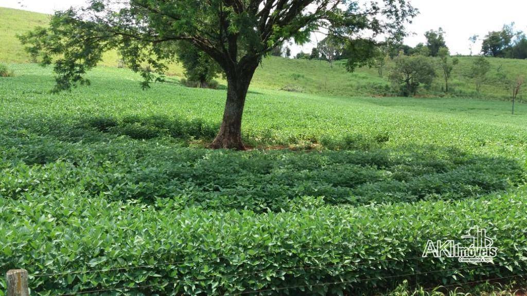 Fazenda à venda com 1 quarto, 2819300M2 - Foto 7