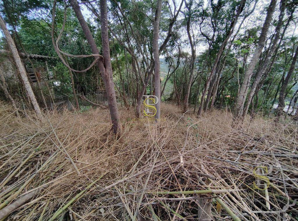 Terreno à venda, 1000M2 - Foto 4