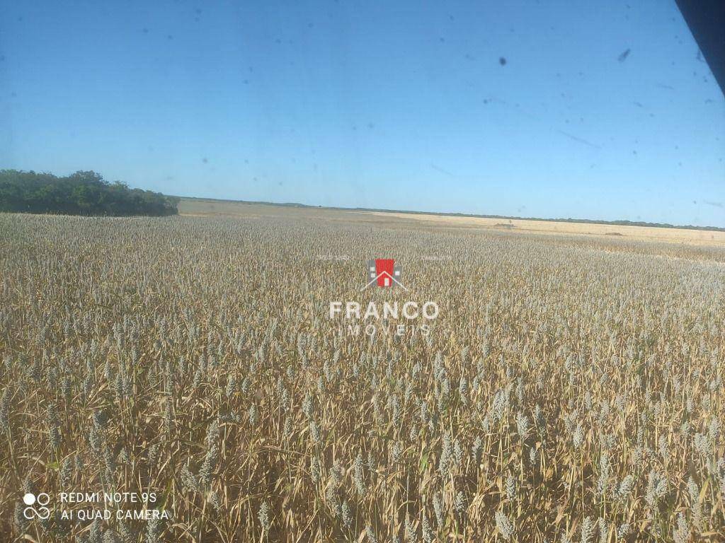 Fazenda-Sítio-Chácara, 2154 hectares - Foto 3