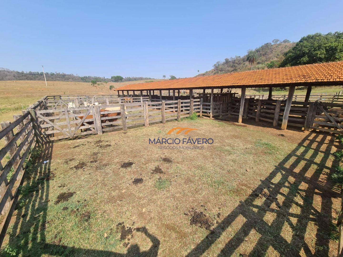 Fazenda à venda, 2299000M2 - Foto 8
