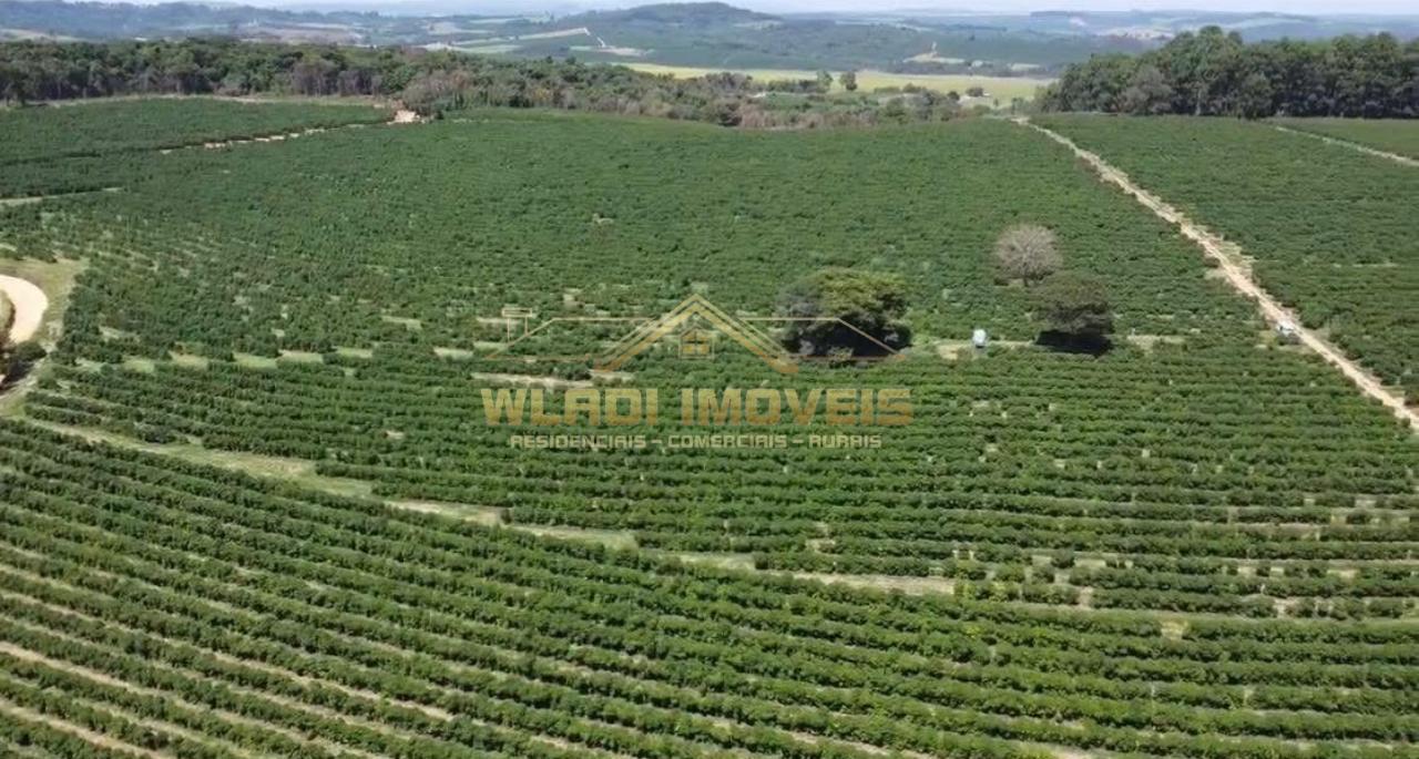 Fazenda à venda, 86m² - Foto 10
