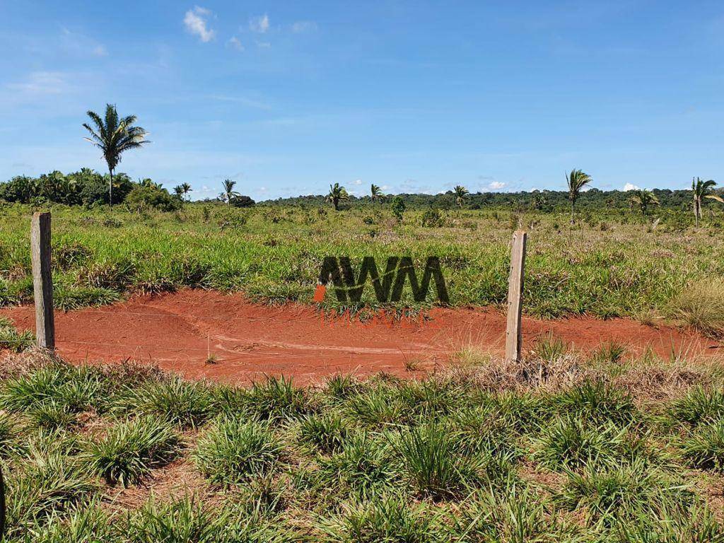 Fazenda à venda, 87120000M2 - Foto 38