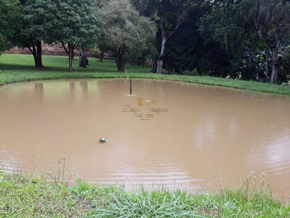 Fazenda à venda com 5 quartos, 170000m² - Foto 18