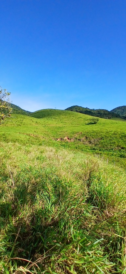 Fazenda à venda com 4 quartos, 257m² - Foto 2