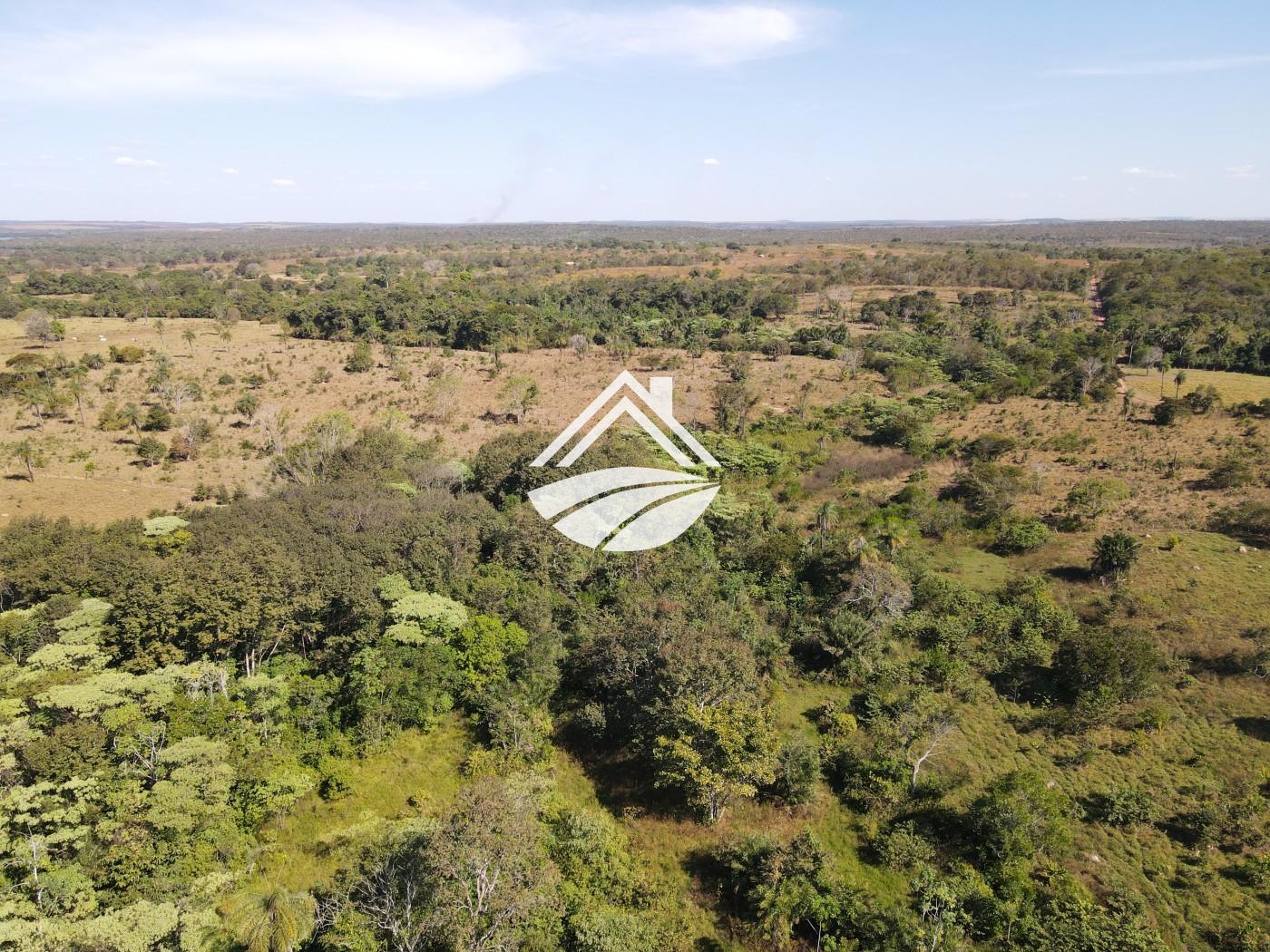 Fazenda à venda com 3 quartos, 452980m² - Foto 6