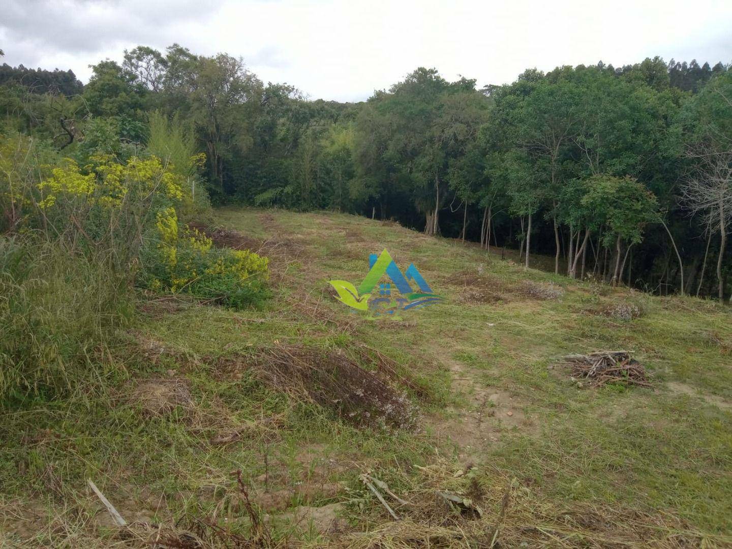 Terreno à venda com 3 quartos, 150m² - Foto 15