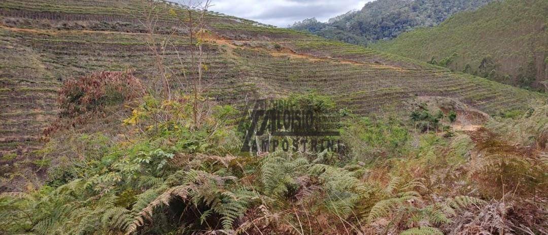 Fazenda à venda, 1452000M2 - Foto 41