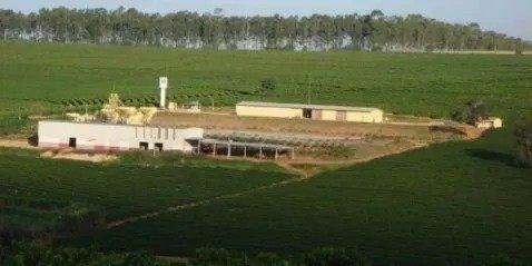 Fazenda à venda, 530m² - Foto 5