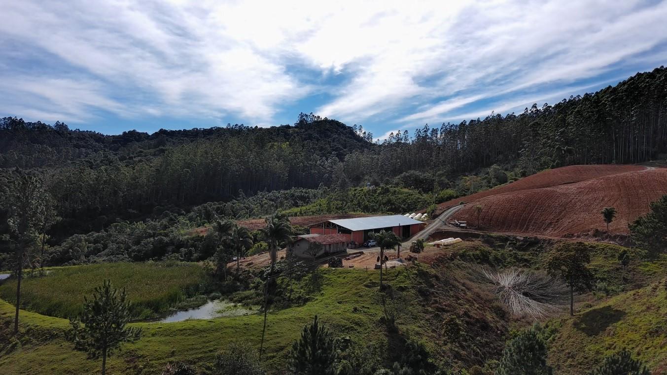 Fazenda à venda com 3 quartos, 260000m² - Foto 26