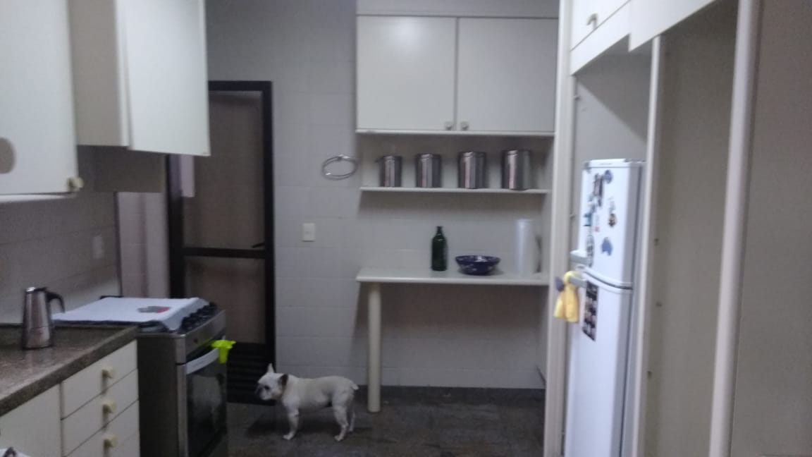 Apartamento à venda com 4 quartos, 186m² - Foto 8