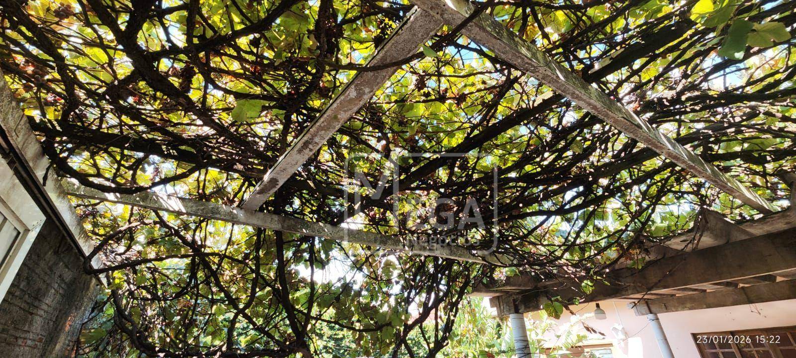 Casa, 3 quartos, 300 m² - Foto 5