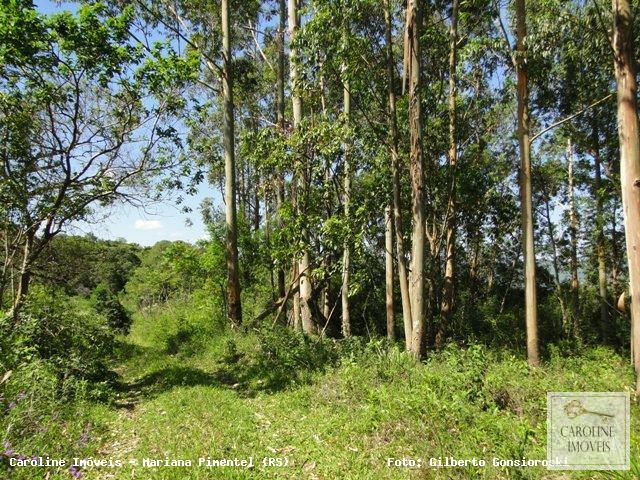 Loteamento e Condomínio à venda, 320000m² - Foto 8