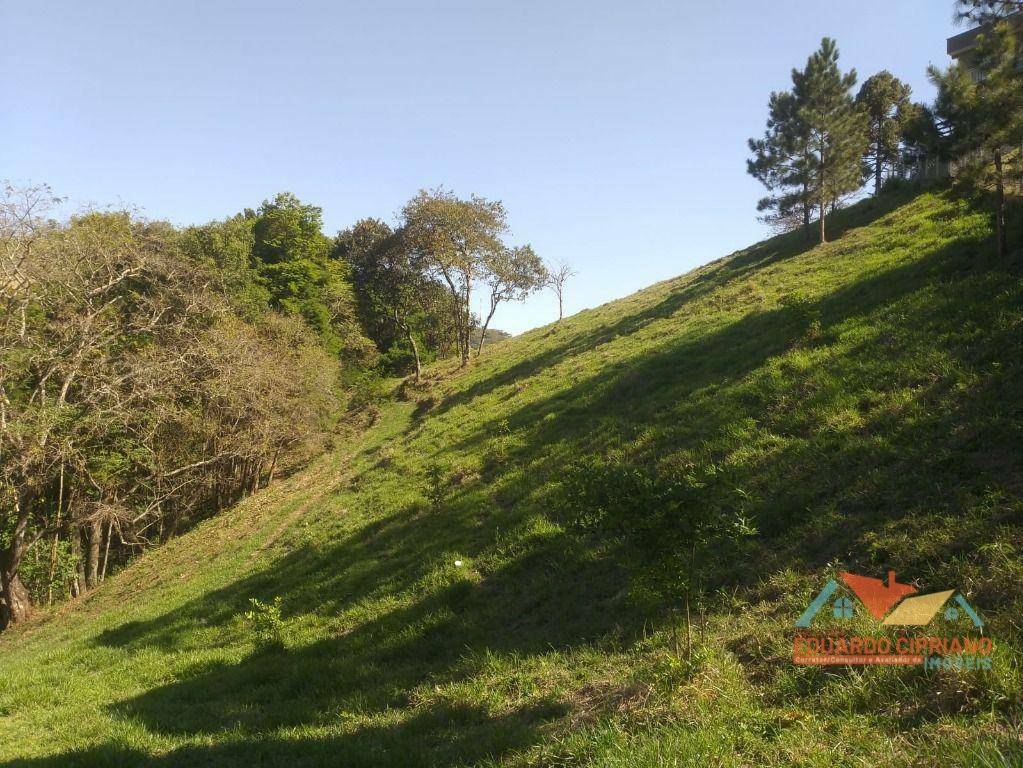 Terreno à venda, 9106M2 - Foto 16