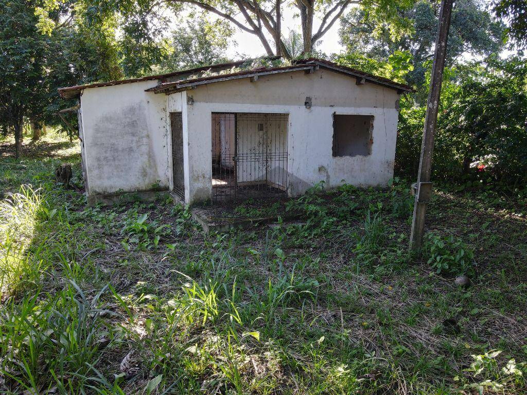 Terreno, 2000 m² - Foto 3