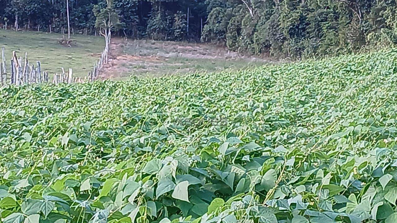 Terreno à venda, 20000M2 - Foto 4