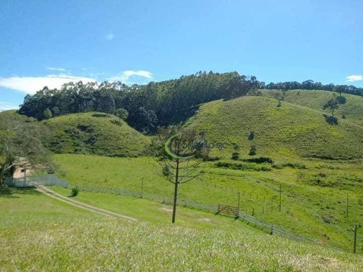 Fazenda à venda com 3 quartos, 1080000M2 - Foto 7