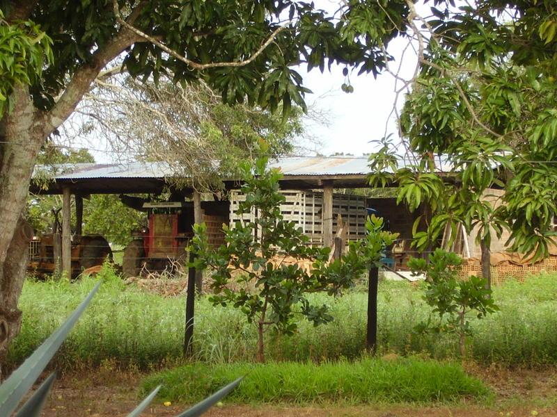 Fazenda à venda - Foto 19