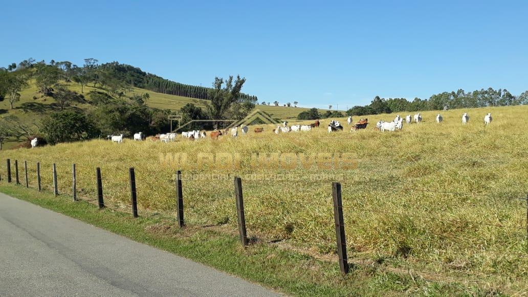 Fazenda à venda, 160m² - Foto 7