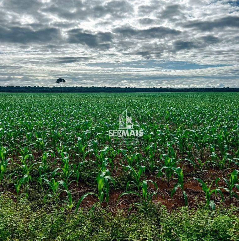 Fazenda-Sítio-Chácara, 2300 hectares - Foto 1