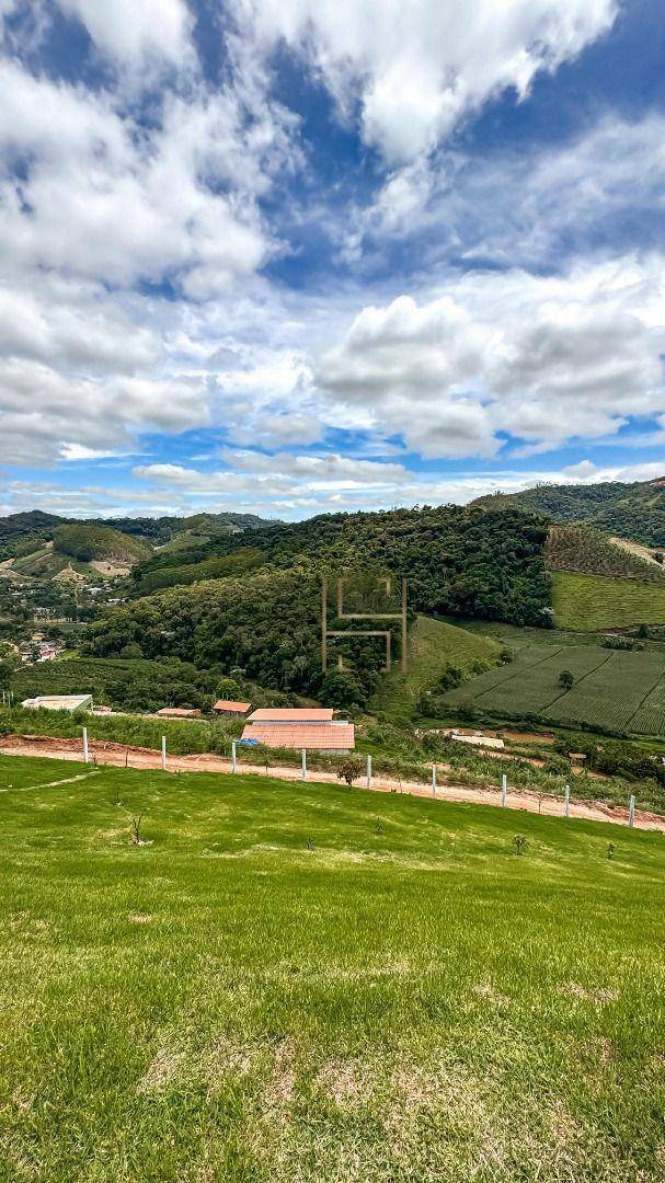Chácara à venda com 2 quartos, 9500M2 - Foto 8