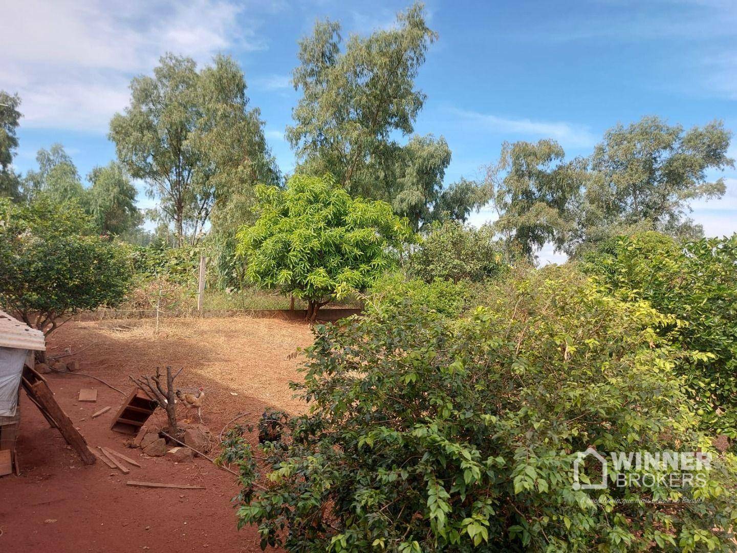 Chácara à venda com 3 quartos, 1500M2 - Foto 45