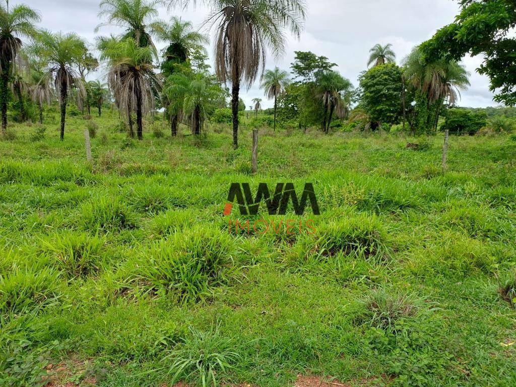 Fazenda à venda, 25748800M2 - Foto 1