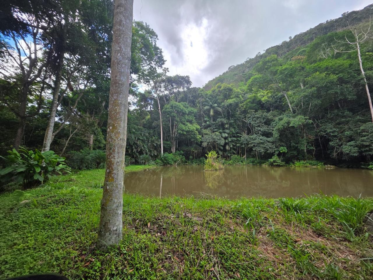 Fazenda à venda com 6 quartos, 183m² - Foto 12