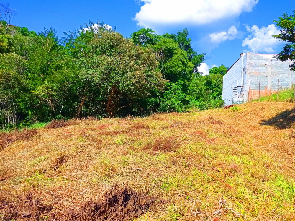 Terreno à venda, 7136m² - Foto 4