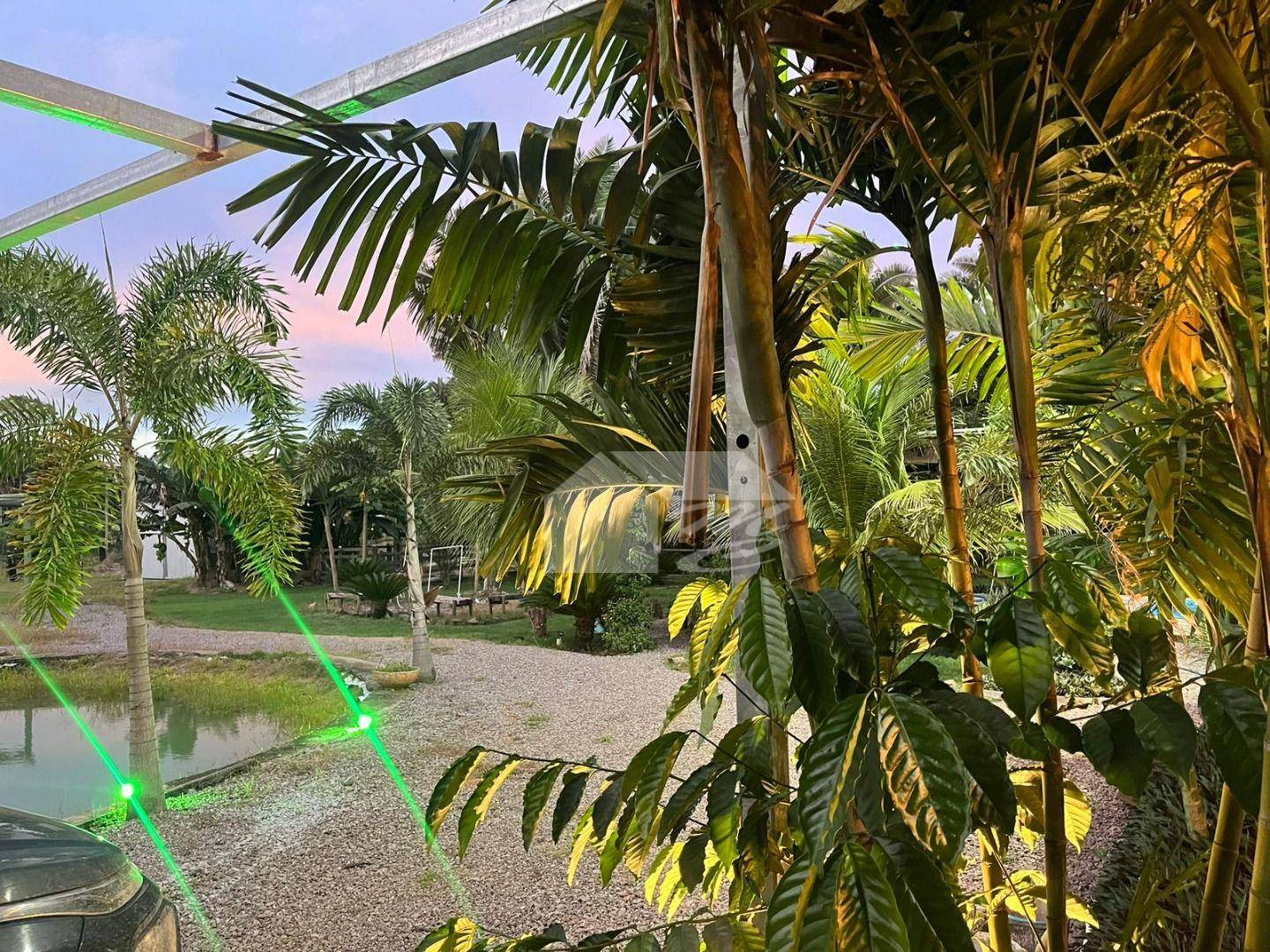 Chácara, 4 quartos, 3000 m² - Foto 5