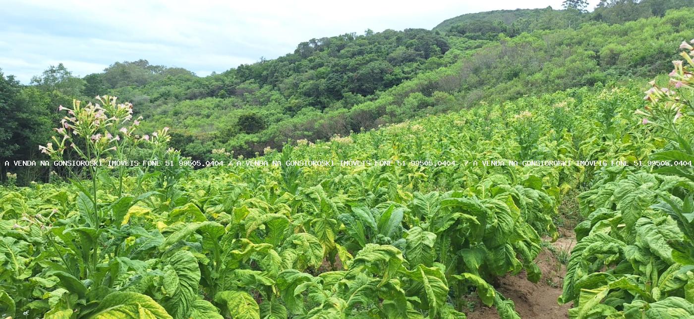 Loteamento e Condomínio à venda, 125000m² - Foto 17