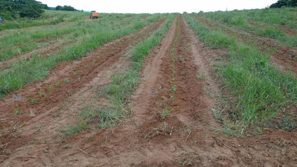 Fazenda à venda, 239m² - Foto 6