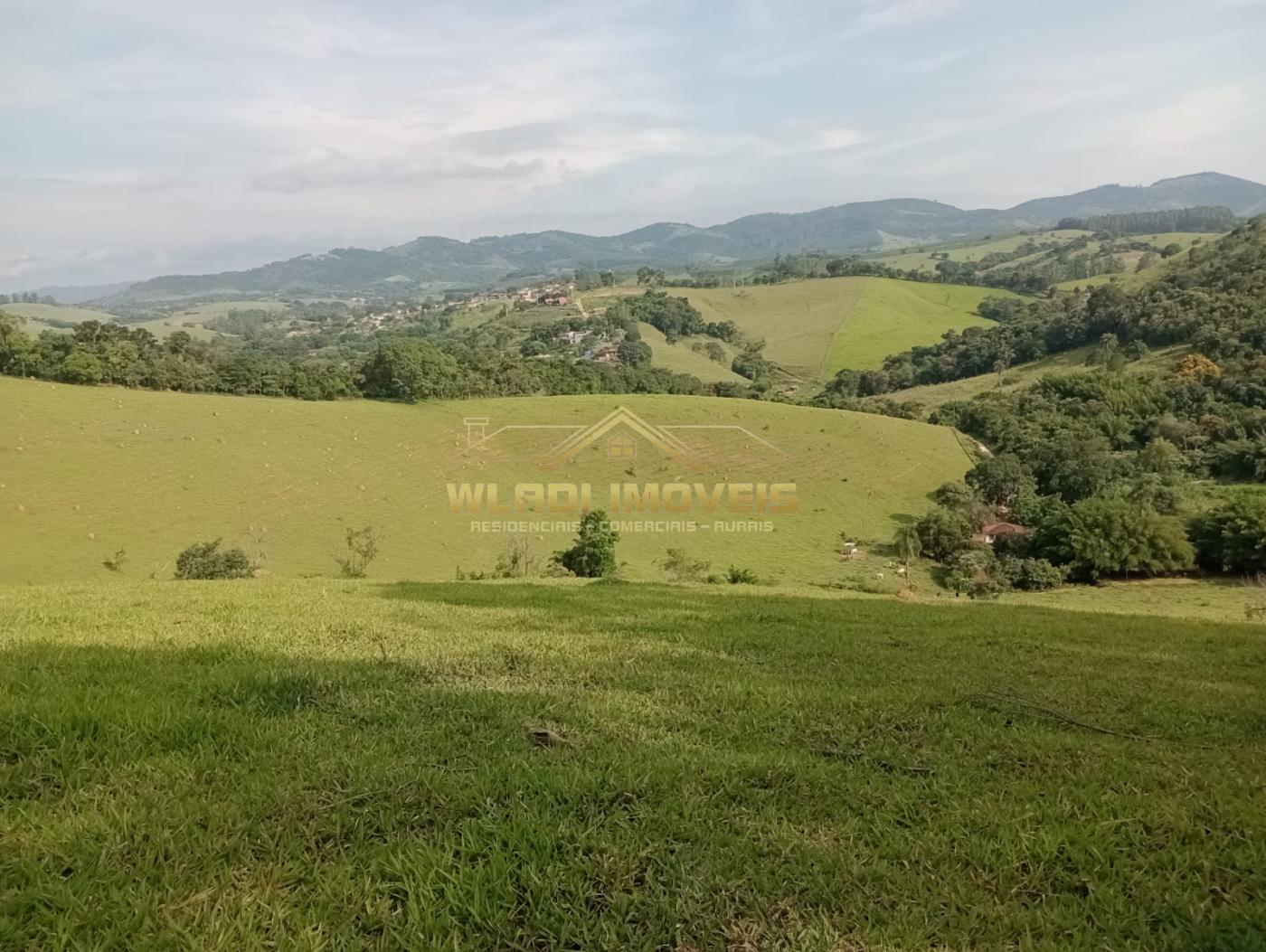 Fazenda à venda com 4 quartos, 7m² - Foto 18