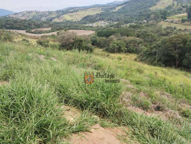 Terreno à venda, 8000M2 - Foto 4