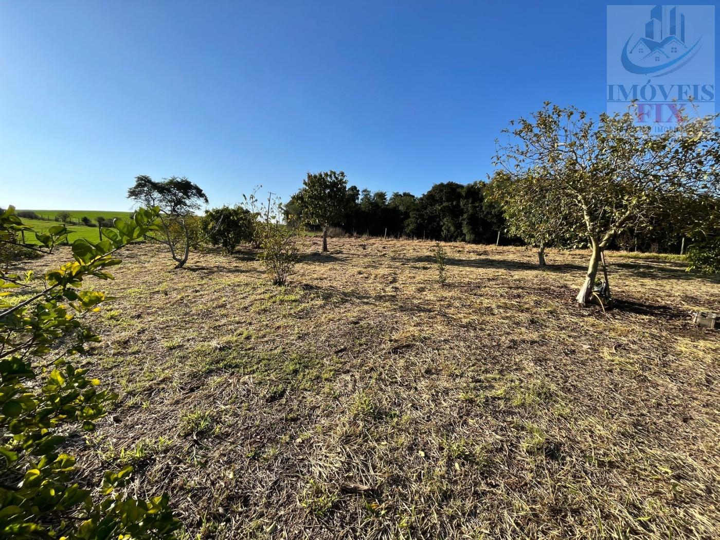 Sítio à venda com 3 quartos, 84700m² - Foto 48