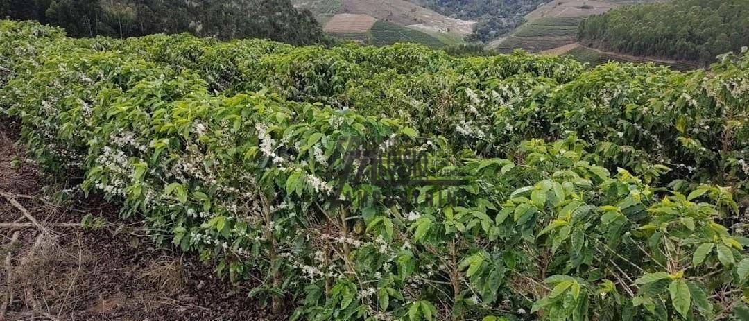 Fazenda à venda, 1452000M2 - Foto 42