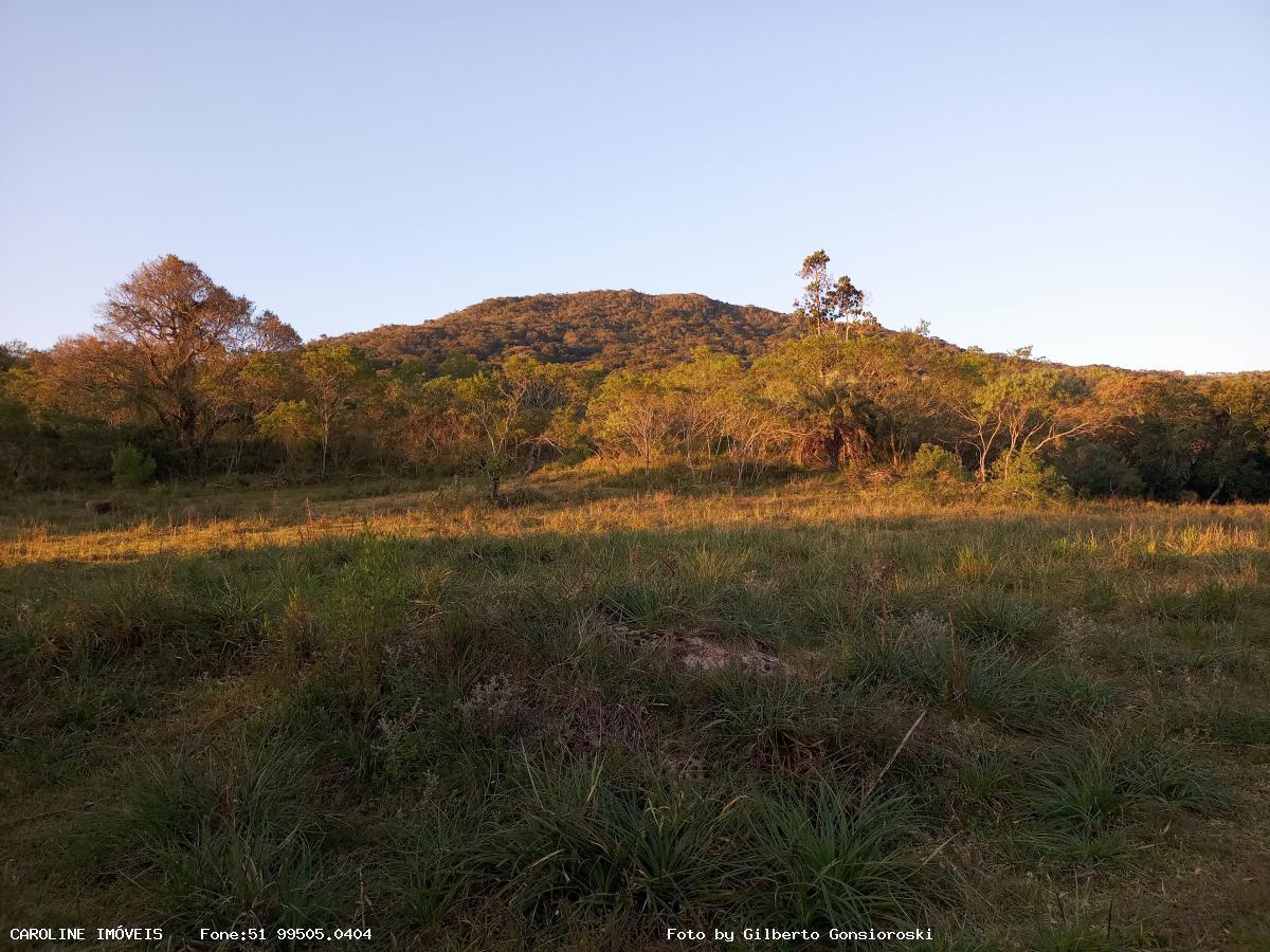 Sítio à venda com 3 quartos, 586000m² - Foto 21