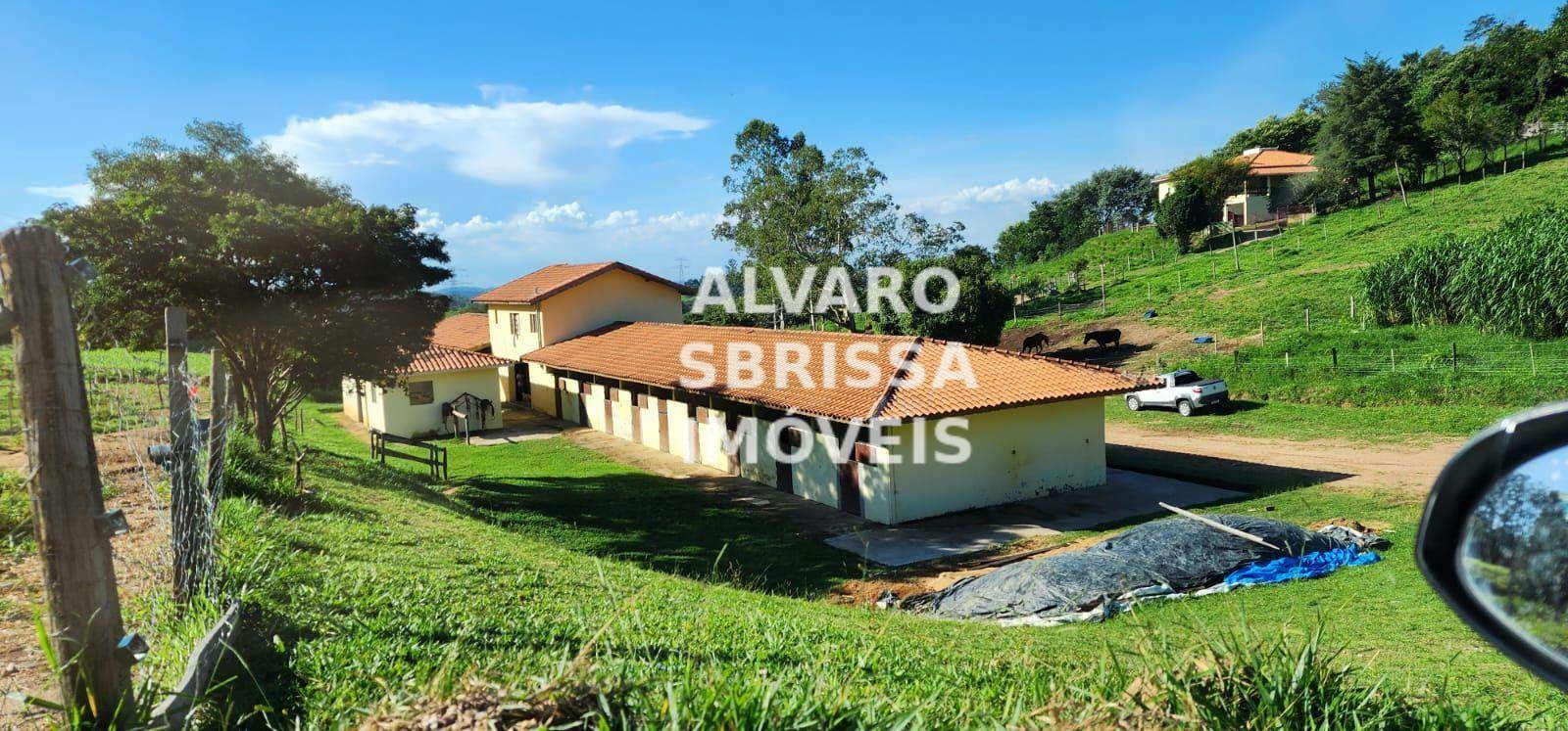 Haras e Área Rural Padrão à venda com 3 quartos, 73000M2 - Foto 3