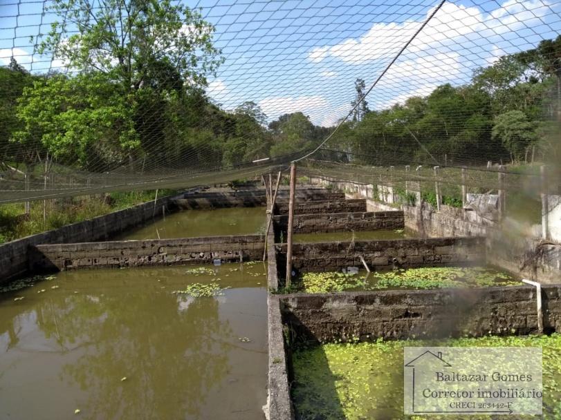 Fazenda à venda com 3 quartos, 150000m² - Foto 5