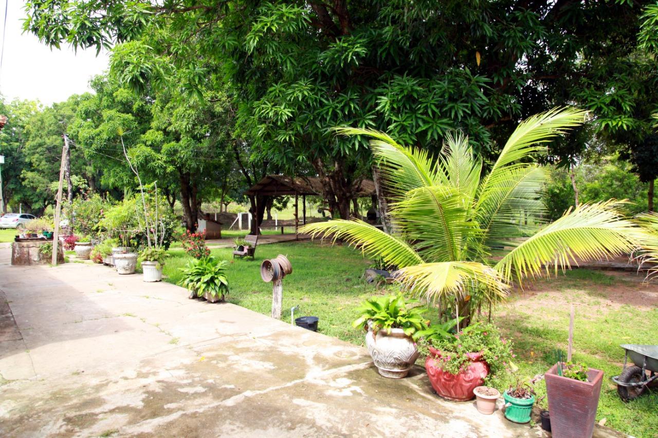 Chácara à venda com 3 quartos, 30000m² - Foto 18