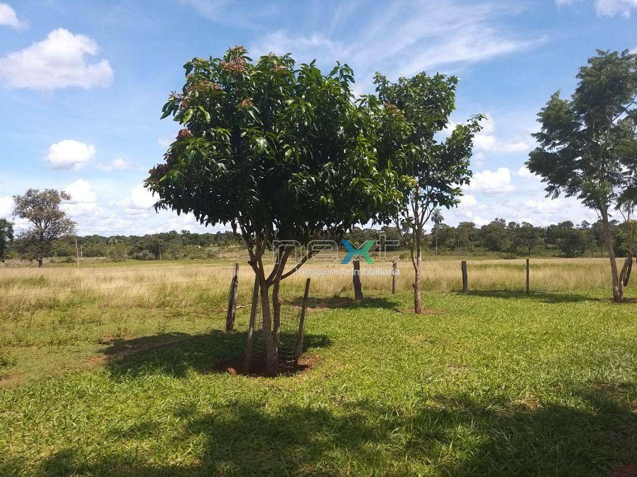 Fazenda à venda com 4 quartos, 430000M2 - Foto 22