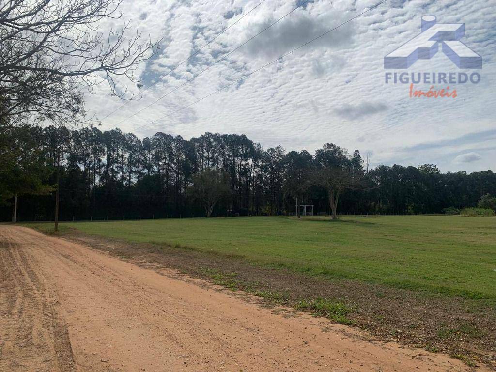 Sítio, 26 hectares - Foto 1