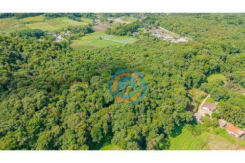 Terreno, 5 hectares - Foto 11