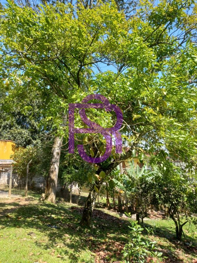 Chácara, 7 quartos, 2025 m² - Foto 25