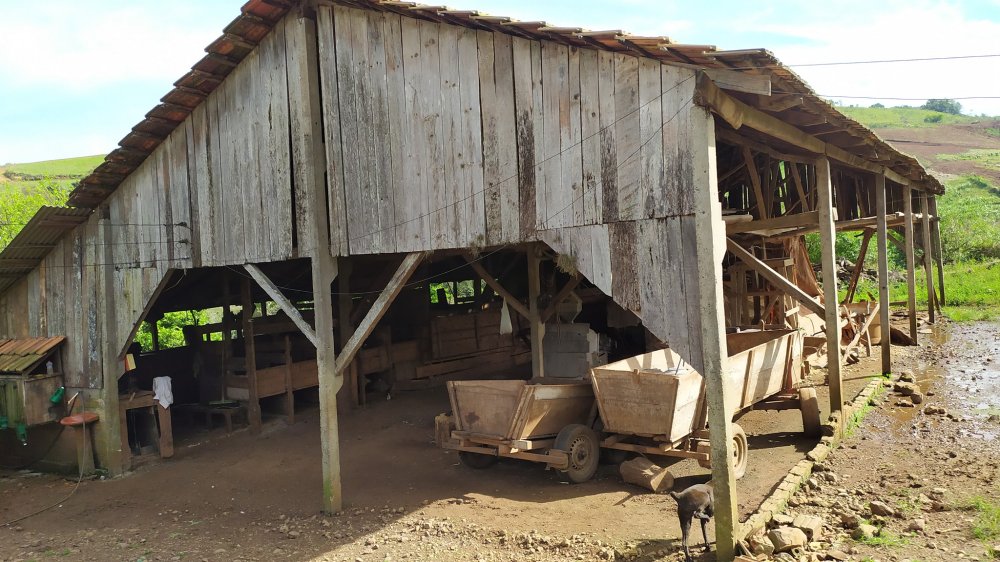 Fazenda à venda com 4 quartos, 12m² - Foto 15